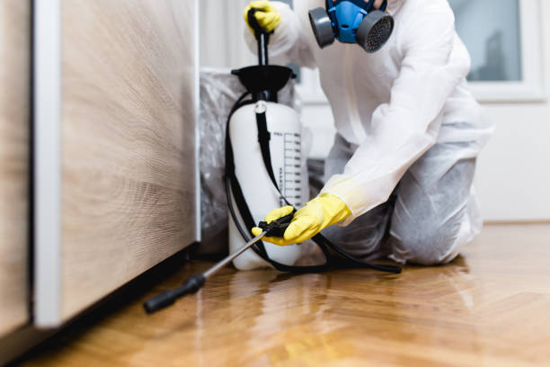 Best Residential Pest Control  in Clarendon, TX