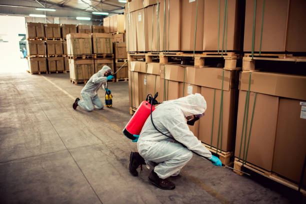 Best Ant Control Services  in Clarendon, TX