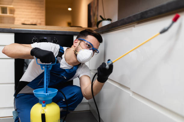 Best Rat Extermination Near Me  in Clarendon, TX