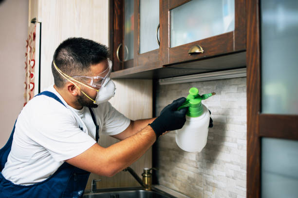 Best Emergency Pest Control  in Clarendon, TX