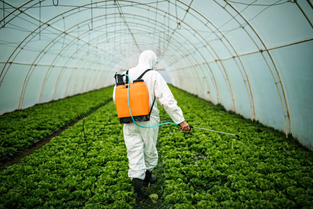 Best Local Pest Control Services  in Clarendon, TX