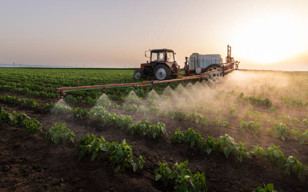 Best Wildlife Control Services  in Clarendon, TX