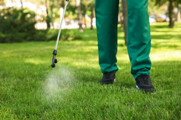 Best Local Pest Control Services  in Clarendon, TX