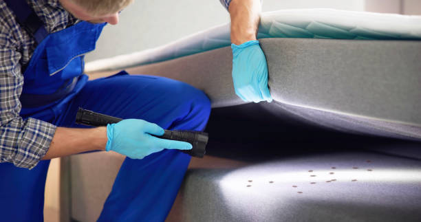 Pest Prevention Services in Clarendon, TX