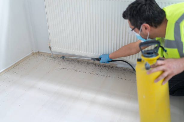 Best Pest Removal Services  in Clarendon, TX