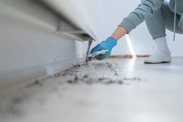 Best Pest Inspection Near Me  in Clarendon, TX