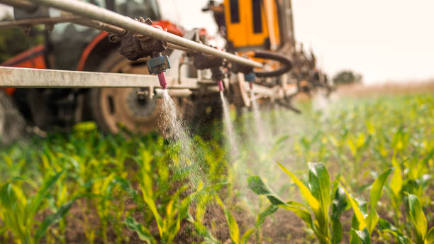 Best Wildlife Control Services  in Clarendon, TX