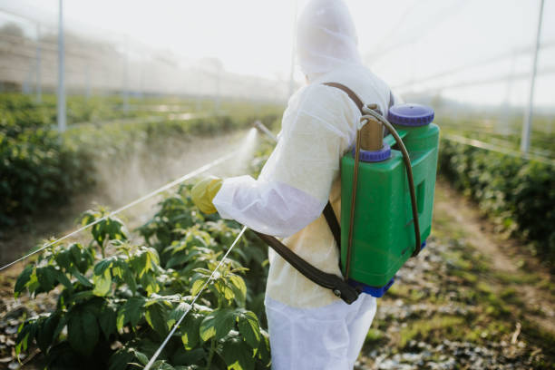 Best Cockroach Control Services  in Clarendon, TX